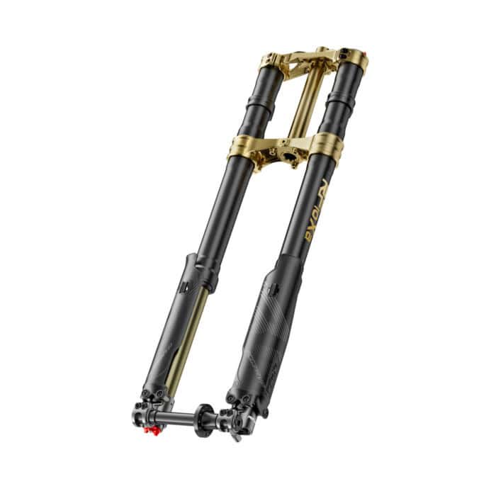 RFloXa Hawk 31 Max Gold LTD 228mm - 55lbs ERP 2.0 / SURRON LBX