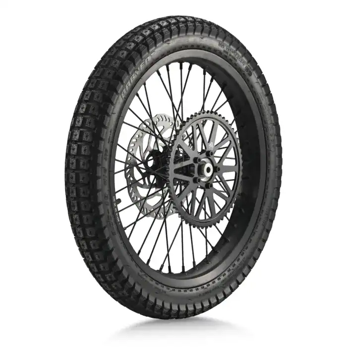 Rear Wheel Assembly (Rear Tire+Tube+Rim Stripe+Rear Wheel Assembly+Rear Brake Disc+Rear wheel Axel Bush*2(with Bolts)) – SE-2.5-3.0 – SHE7006